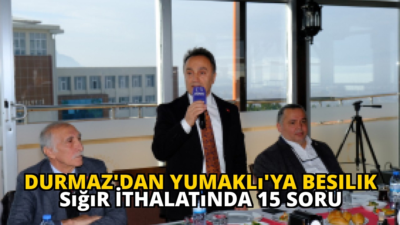 Durmaz'dan Yumaklı'ya Besilik Sığır İthalatında 15 Soru