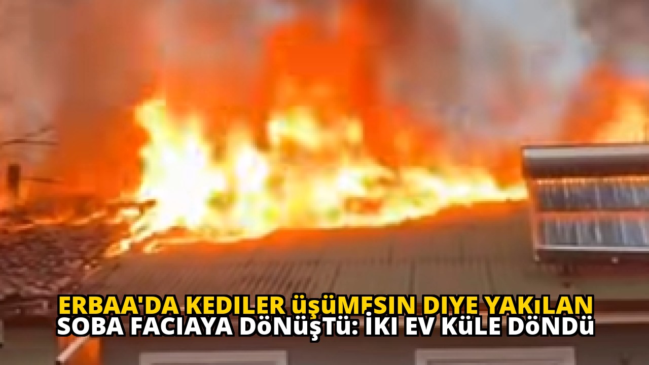 Erbaa'da kediler üşümesin diye yakılan soba faciaya dönüştü: İki ev küle döndü