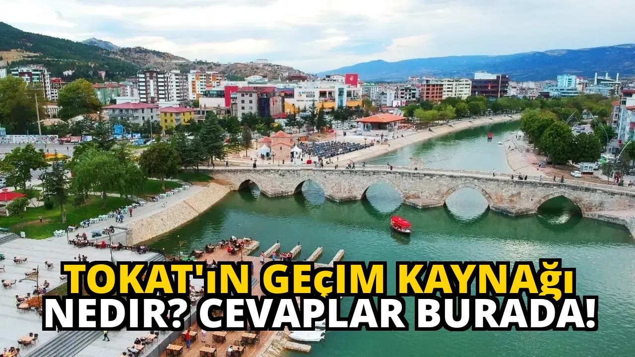 Tokat'ın Geçim Kaynağı Nedir? Cevaplar Burada!
