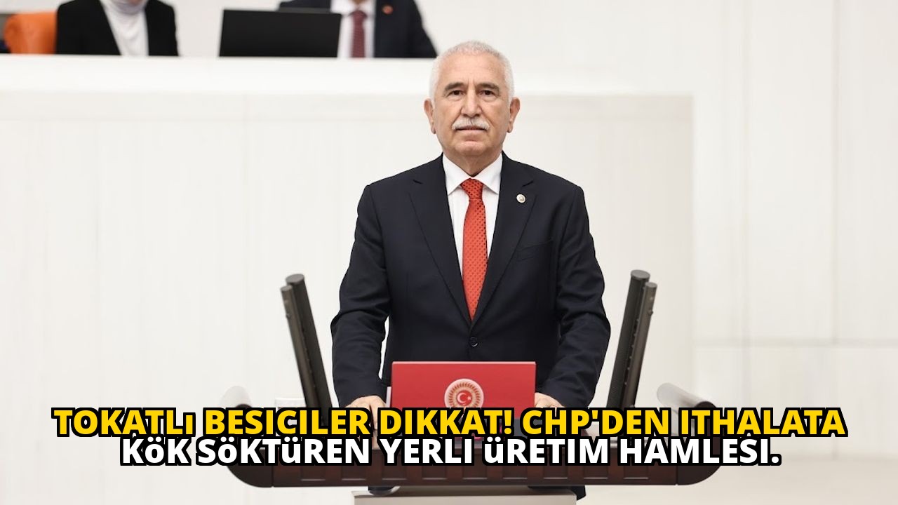 Tokatlı besiciler dikkat! CHP'den ithalata kök söktüren yerli üretim hamlesi.