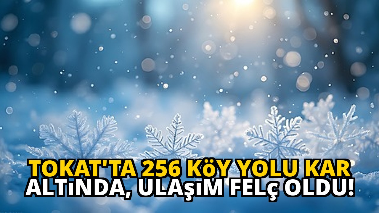 Tokat'ta 256 köy yolu kar altında, ulaşım felç oldu!