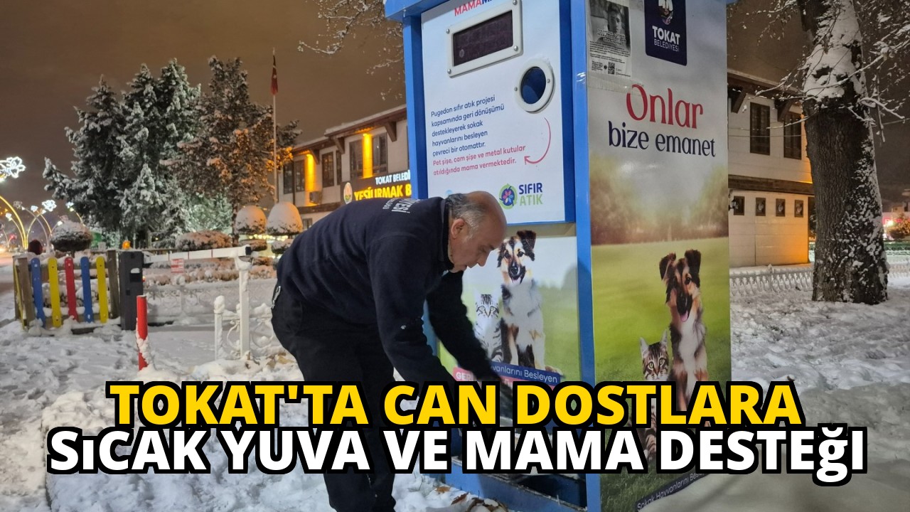 Tokat'ta Can Dostlara Sıcak Yuva ve Mama Desteği