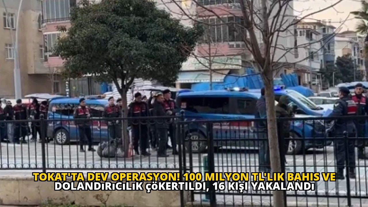 Tokat'ta dev operasyon! 100 milyon TL'lik bahis ve dolandırıcılık çökertildi, 16 kişi yakalandı