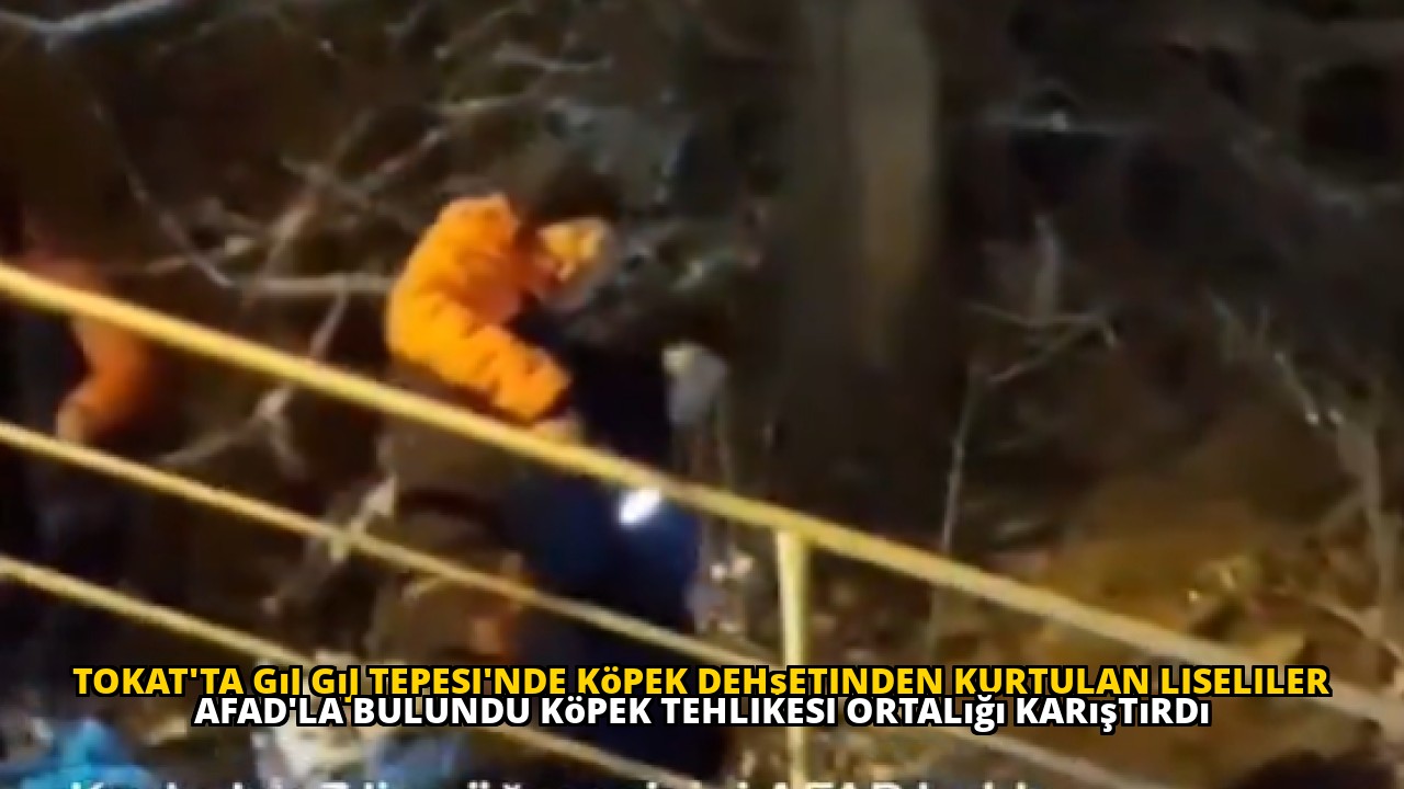 Tokat'ta Gıj Gıj Tepesi'nde köpek dehşetinden kurtulan liseliler AFAD'la bulundu köpek tehlikesi ortalığı karıştırdı