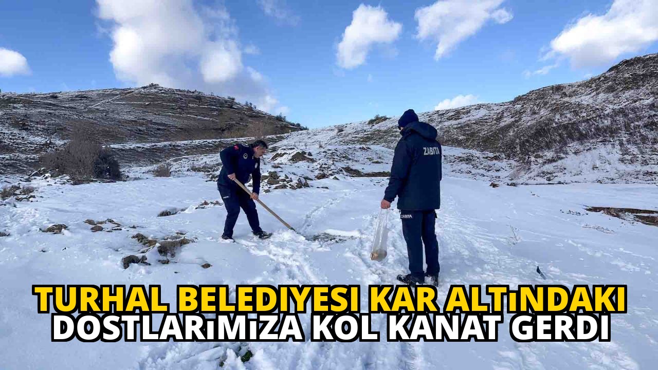 Turhal Belediyesi Kar Altındaki Dostlarımıza Kol Kanat Gerdi