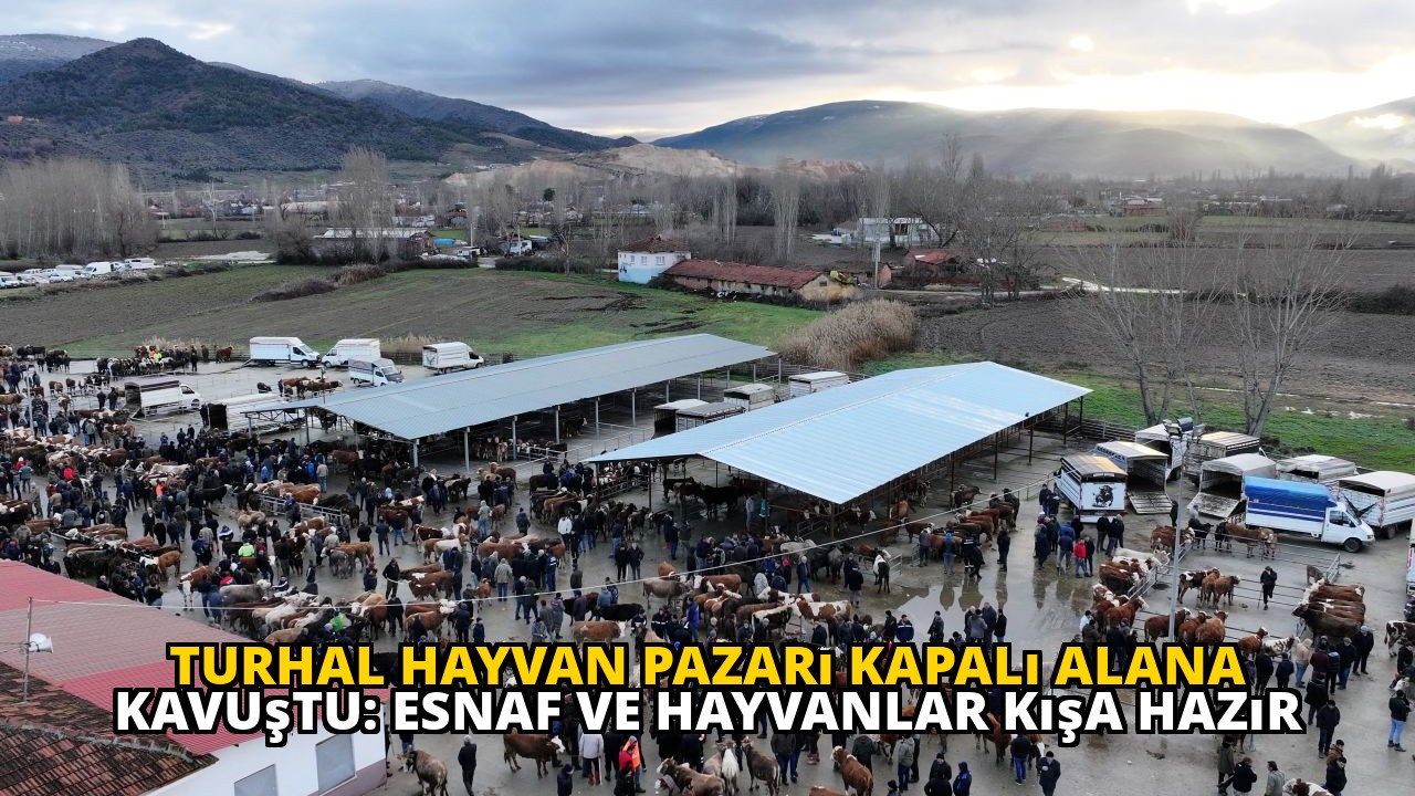 Turhal Hayvan Pazarı Kapalı Alana Kavuştu: Esnaf ve Hayvanlar Kışa Hazır