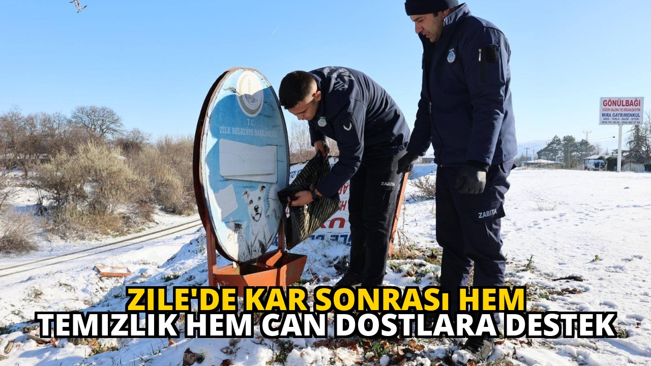 Zile'de Kar Sonrası Hem Temizlik Hem Can Dostlara Destek