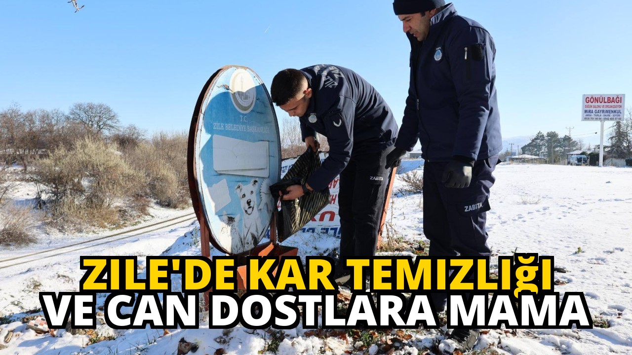 Zile'de Kar Temizliği ve Can Dostlara Mama