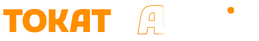Tokat Havadis